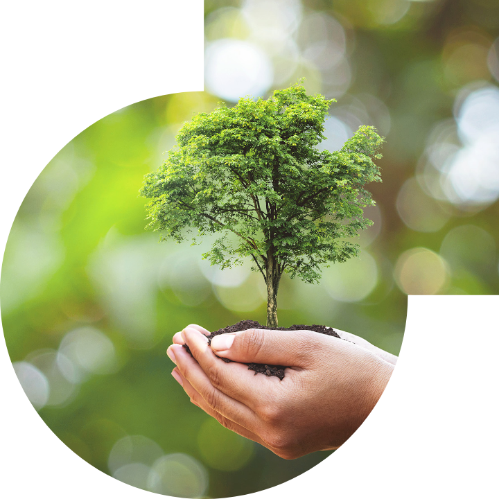 关怀人类、文化、环境与社会